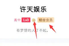 b2主题会员等级美化与自定义标识